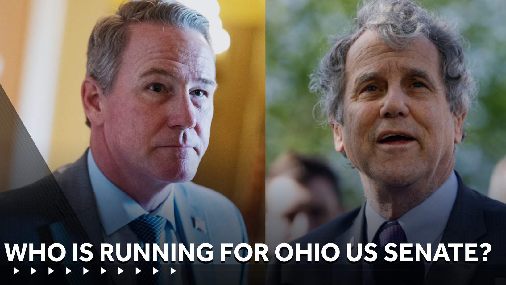 Who's running for U.S. Senate seat in Ohio? — Mason Community news